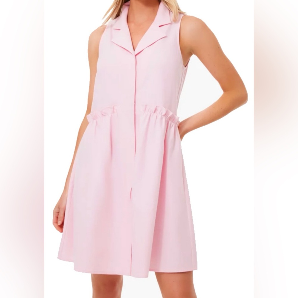 Tuckernuck Oxford Sleeveless Royal Shirt Dress in Pink XS